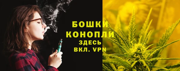 spice Козельск