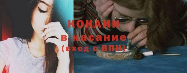 гидра Яровое