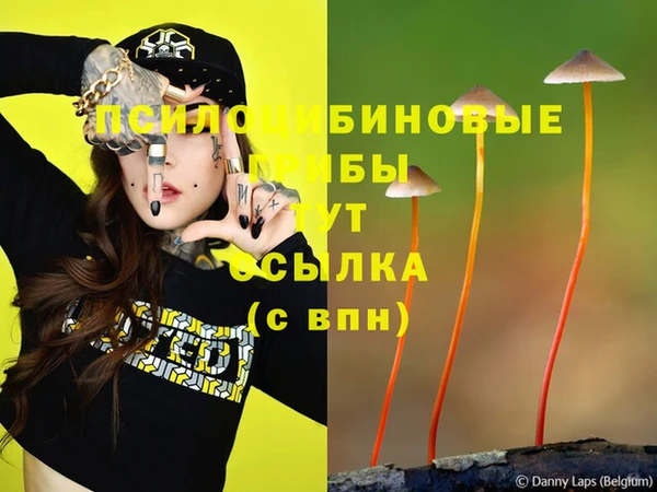 ALPHA PVP Кодинск