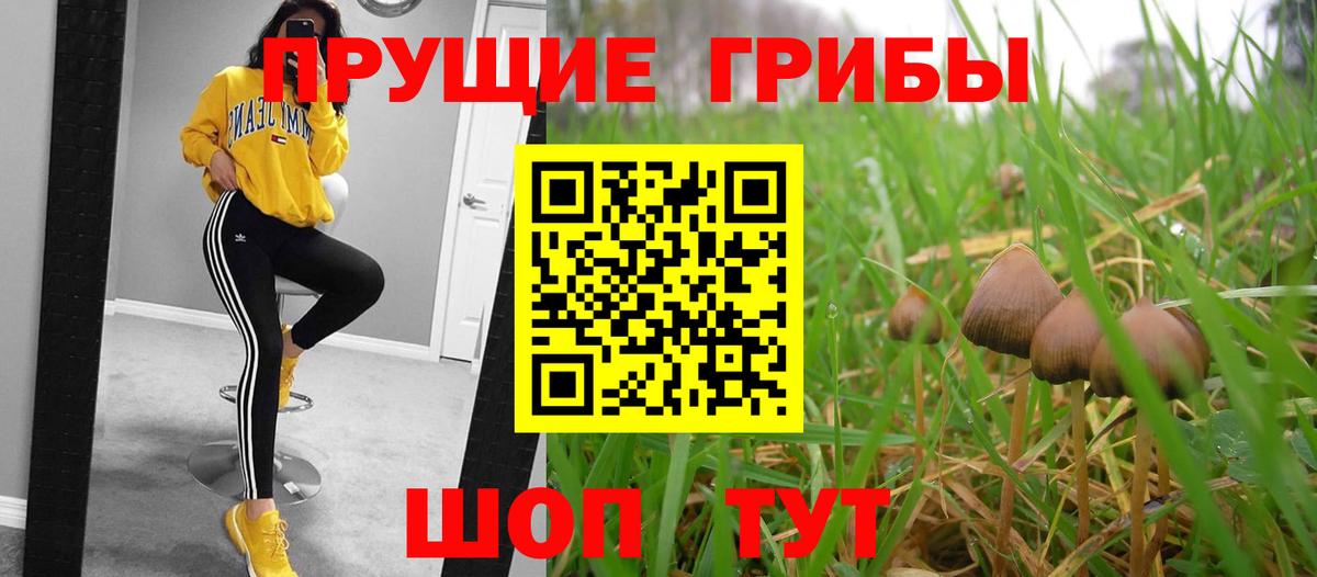 Галлюциногенные грибы MAGIC MUSHROOMS Волгодонск