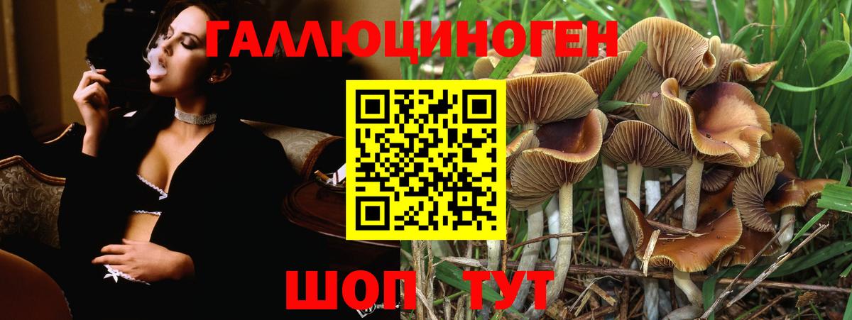 Псилоцибиновые грибы мухоморы  Псилоцибиновые грибы Psilocybine cubensis  Волгодонск  Вход с VPN 