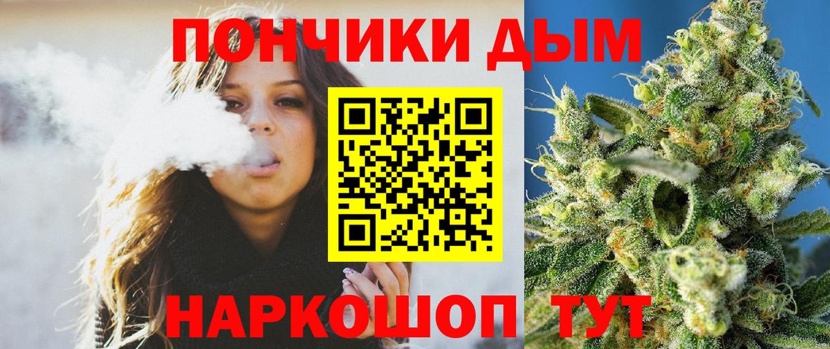 Бошки марихуана план  Вход с VPN  Волгодонск  МАРИХУАНА гибрид  Марихуана план 